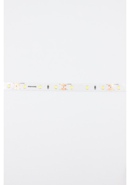 Tek Çipli Şerit LED Iç Mekan Aydınlatma - 5W, 12V - Metrede 60 LED - 8mm Ince modelleri