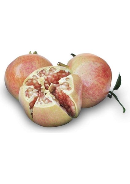 Paket Tüplü Tatlı Devedişi Nar Fidanı