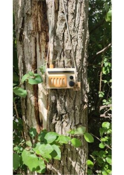 Ahşap Retro Radyo ve Çocuk Oyuncağı, Nostaljik ve Doğal Dekorasyon Parçası fiyatları