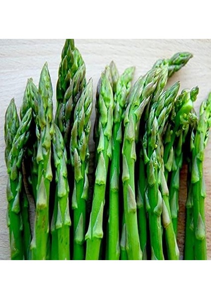 Tarım Ata Tohumu Yerli Kuşkonmaz Tohumu (Asparagus) 40 Adet Tohum modelleri