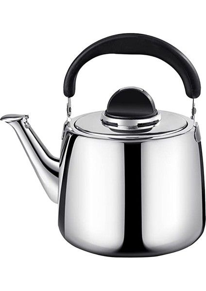 3l Kalınlaştırılmış Düdük Su Isıtıcısı Paslanmaz Çelik Hızlı Isıtma Kaynar Su Pot Çay Su Isıtıcısı (Yurt Dışından)