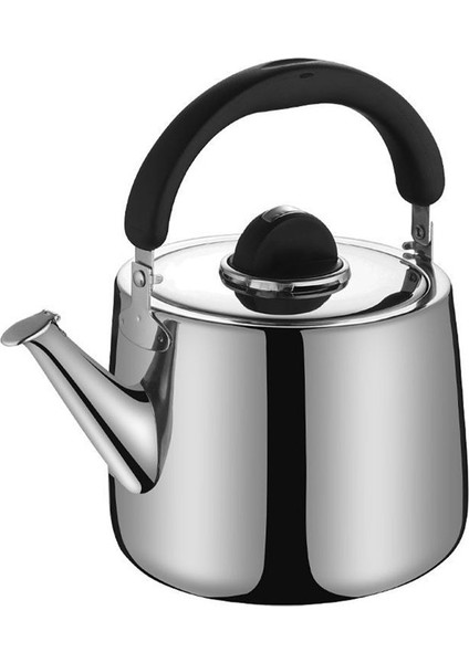 3l Kalınlaştırılmış Düdük Su Isıtıcısı Paslanmaz Çelik Hızlı Isıtma Kaynar Su Pot Çay Su Isıtıcısı (Yurt Dışından) fiyatları