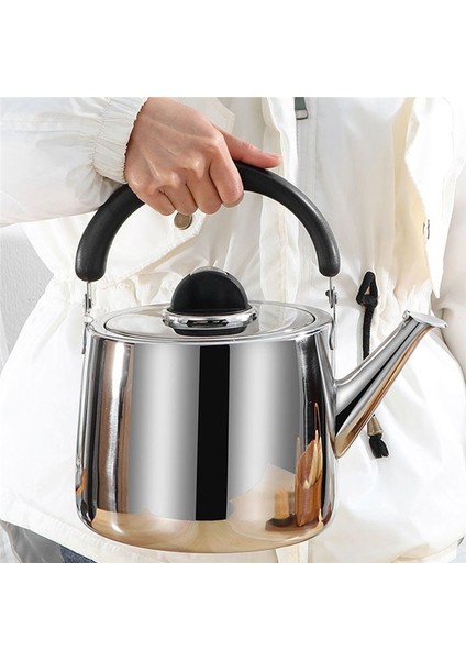 3l Kalınlaştırılmış Düdük Su Isıtıcısı Paslanmaz Çelik Hızlı Isıtma Kaynar Su Pot Çay Su Isıtıcısı (Yurt Dışından) modelleri