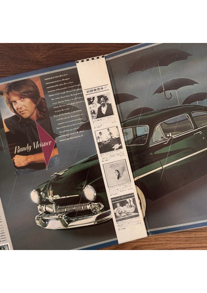 Randy Meisner – Randy Meisner modelleri