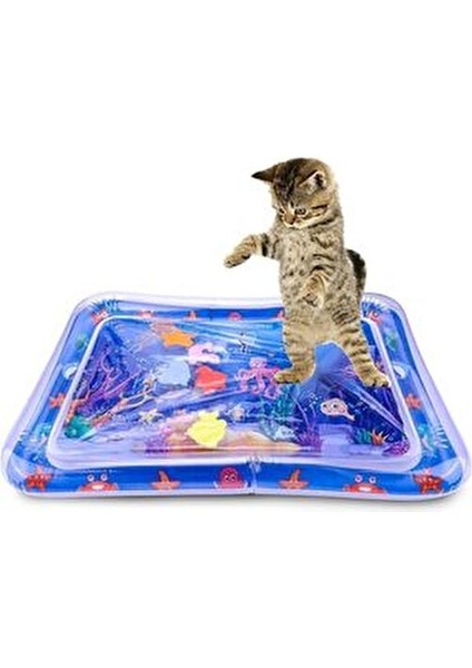 Su Duyusal Oyun Matı Kediler İçin Eğlenceli Oyun Deneyimi 95 gr Türkiye Menşeli