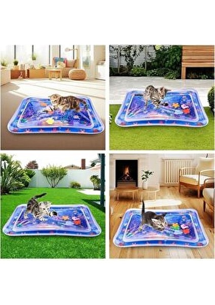 Su Duyusal Oyun Matı Kediler İçin Eğlenceli Oyun Deneyimi 95 gr Türkiye Menşeli