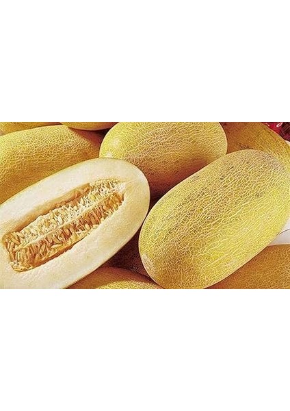 Adet Özbekistan Kavunu Tohumu fiyatları