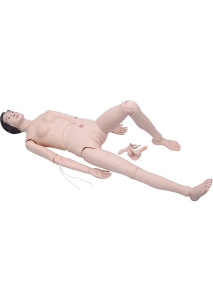 Hasta Bakım Mankeni (Hemşirelik Uygulama Mankeni), Kadın