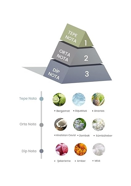 Bambu Çubuklu Oda Kokusu Coco Sun 100 ml modelleri