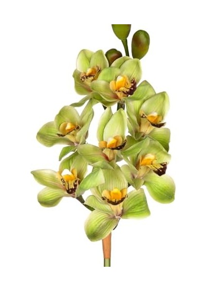 Yapay Orkide Gerçek Dokulu Yeşil 75 Cm. fiyatları