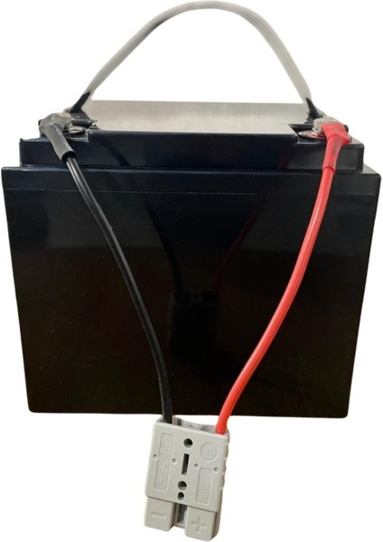 Castelları Tornado Carbon L V3 Zeytin Silkeleme Makinası Lifepo