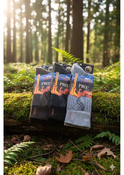 Havlu Lambswool (Yün) Thermal Erkek Çorap, Asorti , 3'lü Paket