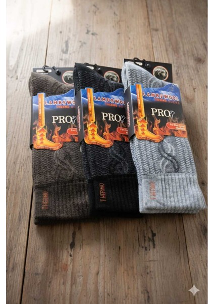 Havlu Lambswool (Yün) Thermal Erkek Çorap, Asorti , 3'lü Paket fiyatları
