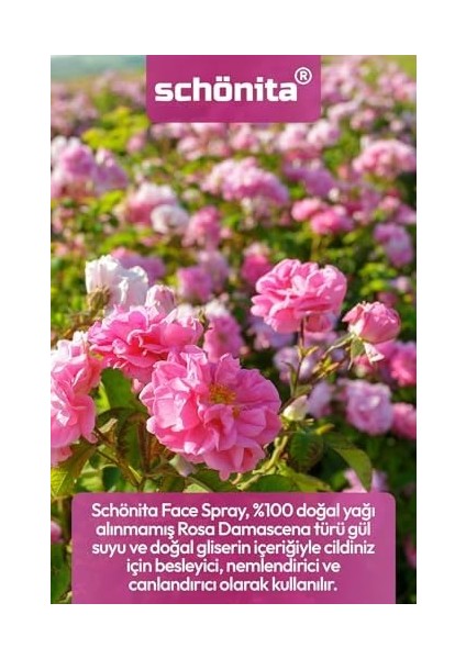 Schönita Gül Suyu Içerikli Nemlendirici ve Ferahlatıcı Yüz Spreyi - Face Spray - 100ML modelleri