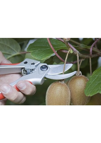 J441 Makas Baumschere Bir El Kurve 21 Cm. fırsatları