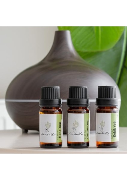 Shamballa Kekik Yağı-Nane Yağı-Okaliptus YAĞI%100 Saf Uçucu Yağ fiyatları