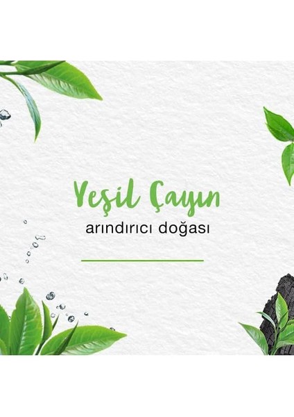 Himalaya Since 1930 Detoks Etkili Arındırıcı Yüz Maskesi, Aktif Kömür, Yeşil Çay, Parabensiz, Tüm Ciltler, 75 ml modelleri