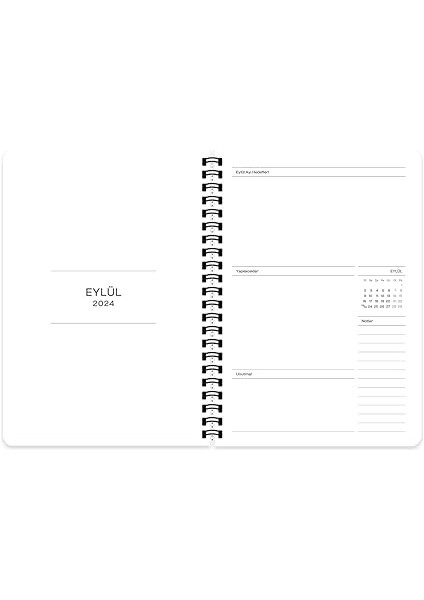 Color 16 * 23 Spiralli Akademik Ajanda - Kalp fırsatları