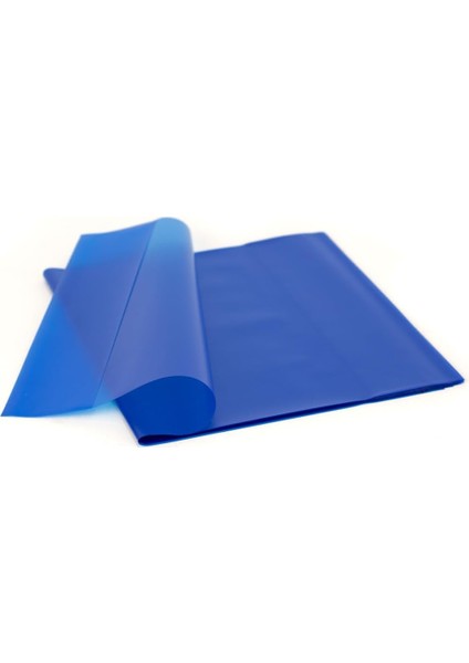 Noki Yapışkanlı Kitap Kabı, Renkli, 10'lu Paket, Dayanıklı (Mavi, Standart)