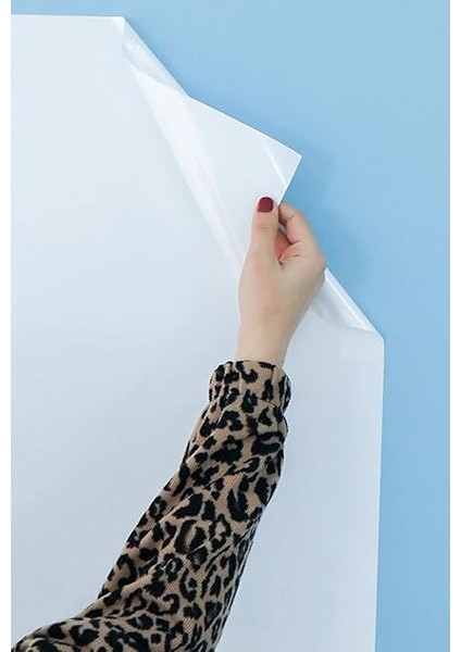 Tanıtım Beyaz, 2 Adet Yapışkansız Tutunan, Statik, Inovatif, Pratik Yazı Tahtası, Elektrostatik Kağıt (Centimeters, 100 cm x 100 Cm) fiyatları