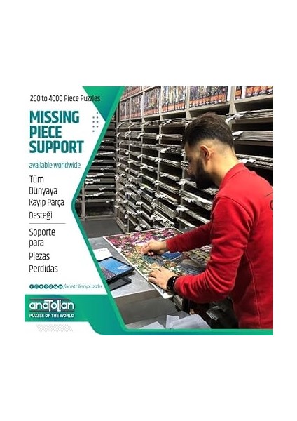 Puzzle - Oyuncak Dolabı / 260 Parça Puzzle, #3341 indirimleri