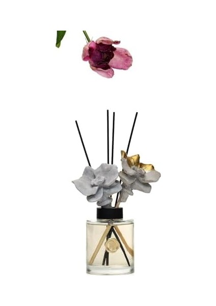 Missi 200 ml Gold-Gri Seramik Taş Bambu Çubuklu Black Orchid Oda Kokusu modelleri