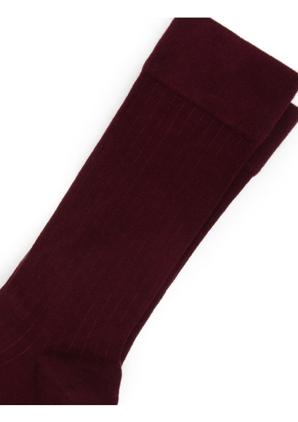 Erkek Bordo Çorap 50318185-900 modelleri