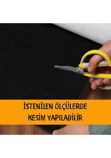 Beylini Halı Altı Keçesi Yalıtım ve Dolgu Keçesi, Koruyucu Ses,ısı, Hava 5-6 mm (Siyah, 200X100) modelleri