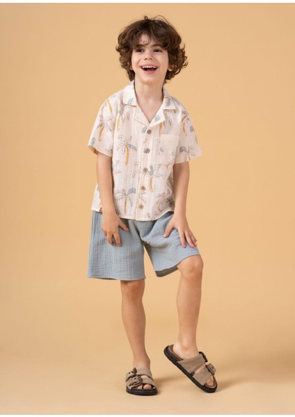 Erkek Çocuk Palmiye Desenli Gömlekli Takım Şortlu Yazlık Ikili Set fiyatları
