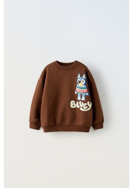 Erkek Çocuk Pamuklu Kahverengi Bluey Sweatshirt ve Eşofman Alt Takım modelleri