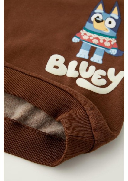 Erkek Çocuk Pamuklu Kahverengi Bluey Sweatshirt ve Eşofman Alt Takım indirimleri