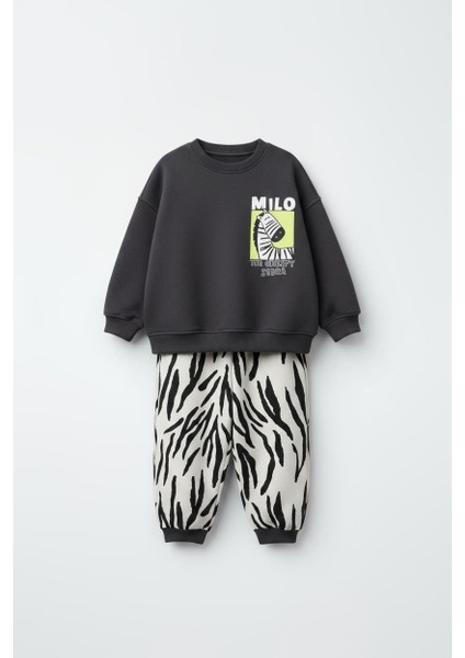 Erkek Çocuk Pamuklu Milo Zebra Desenli Eşofman Takımı fiyatları