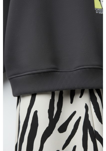 Erkek Çocuk Pamuklu Milo Zebra Desenli Eşofman Takımı fırsatları