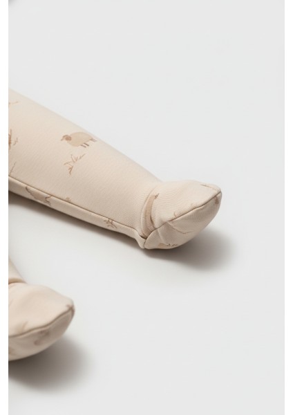 Organik Pamuklu 4'lü Yenidoğan Bebek Seti - Çapraz Yaka Body ve Patikli Alt Takım (Bej) fiyatları