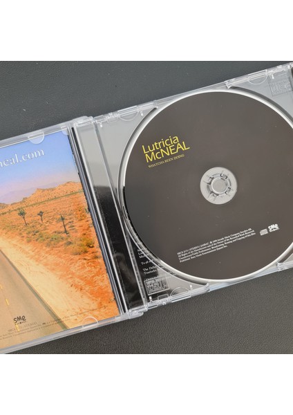 Lutricia Mcneal – Whatcha Been Doing modelleri