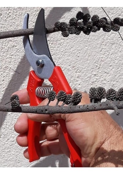 Bahçe Budama Seti Ağaç Dal Kesme Makası Testeresi Ot Çalı Orak Eldiven Seti fiyatları