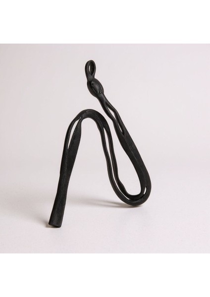 Güneş Gözlüğü Silme Seti Bezi Ipi Spreyi Bir Arada fırsatları