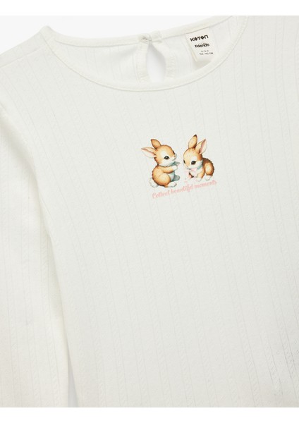 Tavşan Baskılı Uzun Kollu Bisiklet Yaka Tişört modelleri