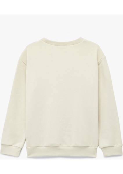 Dinozor Baskılı Uzun Kollu Bisiklet Yaka Sweatshirt fiyatları