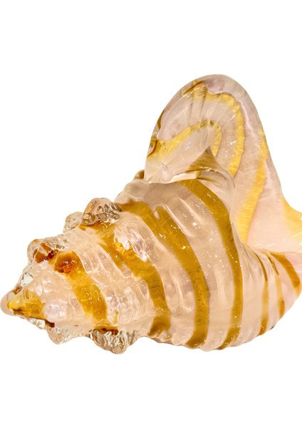 Pembe Bal Büyük Cam Deniz Kabuğu fırsatları