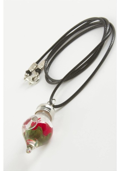 Gül Sulu Fanus Canlı Kolye fiyatları