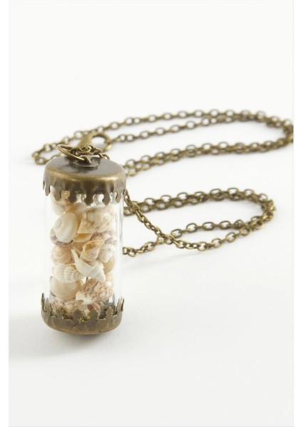 Deniz Kabuğu Fanus Canlı Kolye fiyatları