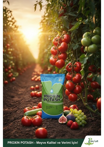 Proxın Potash 25 kg – %25 Potasyum Oksit (K₂o) + %5 Organik Madde Içeren Granül Gübre fırsatları