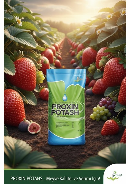 Proxın Potash 25 kg – %25 Potasyum Oksit (K₂o) + %5 Organik Madde Içeren Granül Gübre indirimleri
