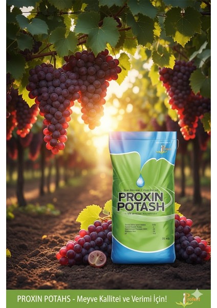 Proxın Potash 25 kg – %25 Potasyum Oksit (K₂o) + %5 Organik Madde Içeren Granül Gübre