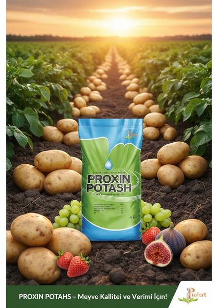 Proxın Potash 25 kg – %25 Potasyum Oksit (K₂o) + %5 Organik Madde Içeren Granül Gübre