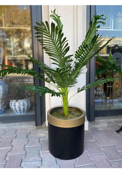 Yapay Arekalı Metal Saksı fiyatları