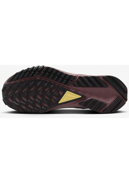 Pegasus Trail 4 Gore-Tex Kadın Ayakkabı modelleri