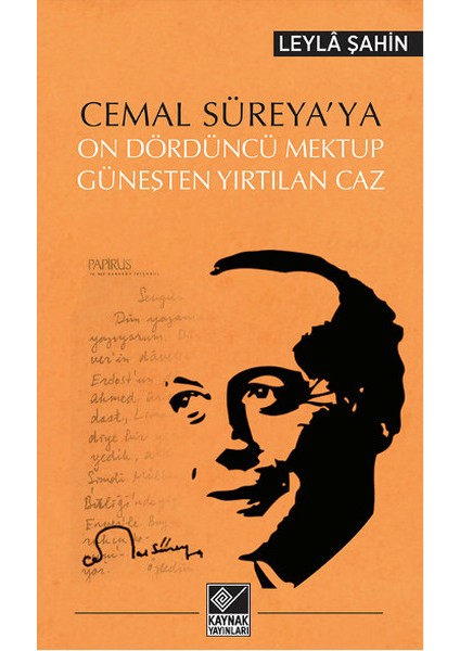 Cemal Süreya'ya On Dördüncü Mektup Güneşten Yırtılan Caz