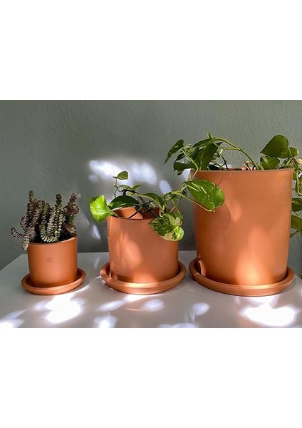 Silindir Saksı+Tabak • Pembenin Tonları (Küçük) fiyatları